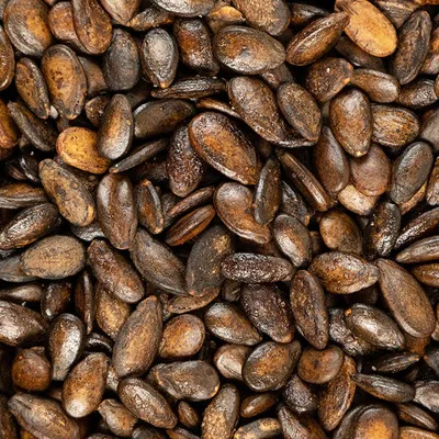 بزر اسود محمص