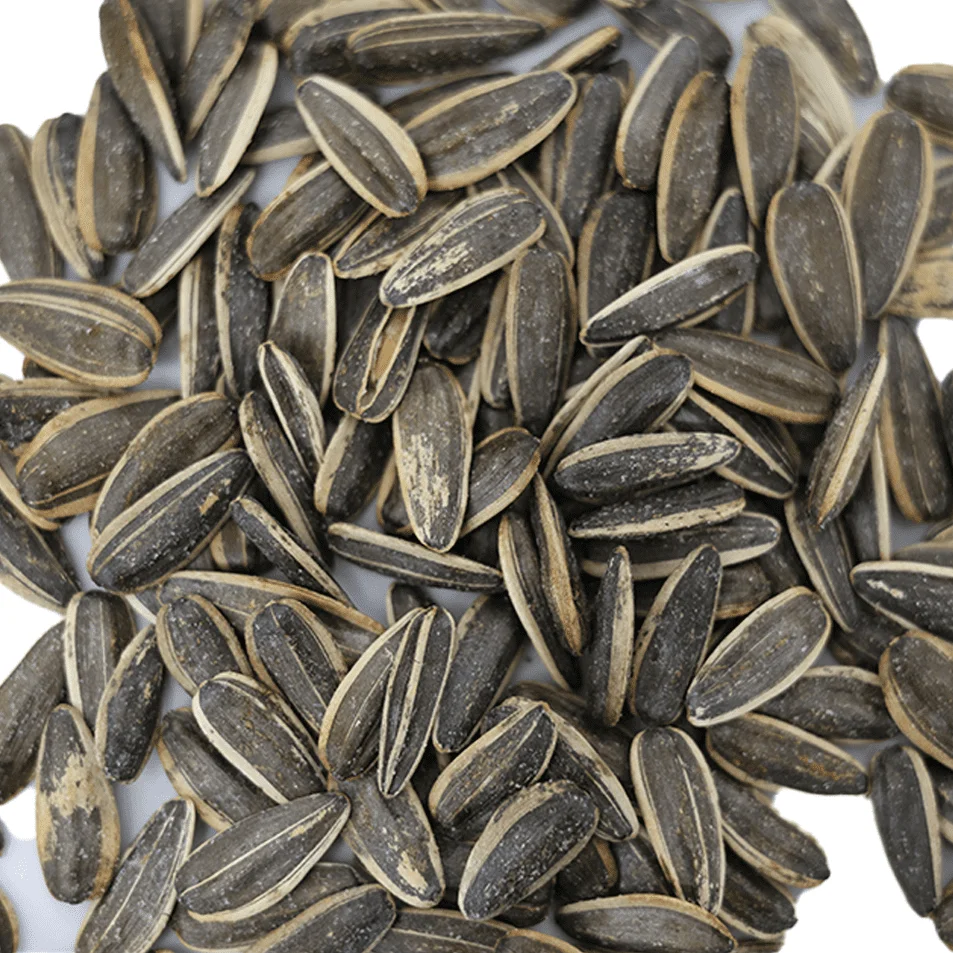 بزر دوار محمص