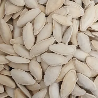 بزر كوسا