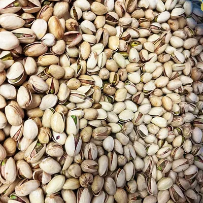 فستق حلبي