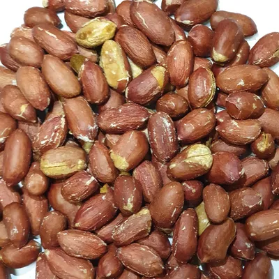 فستق سوداني