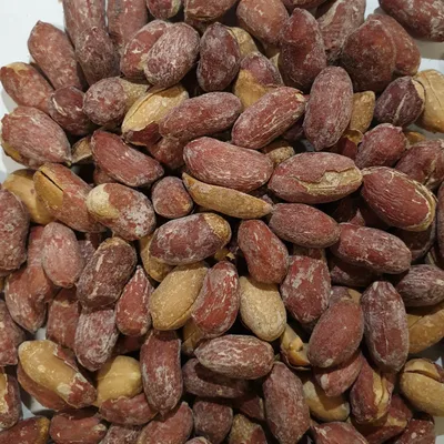 فستق مالح